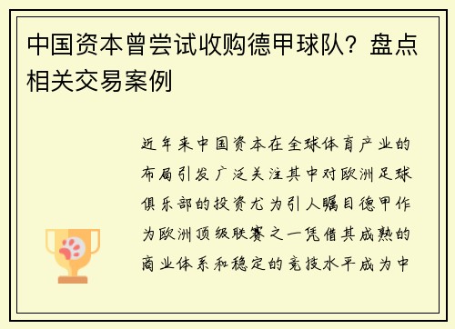 中国资本曾尝试收购德甲球队？盘点相关交易案例