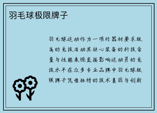 羽毛球极限牌子